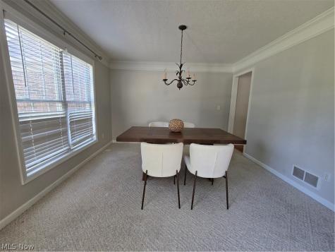 7764 Oak Meadow Drive Hudson OH 44236
