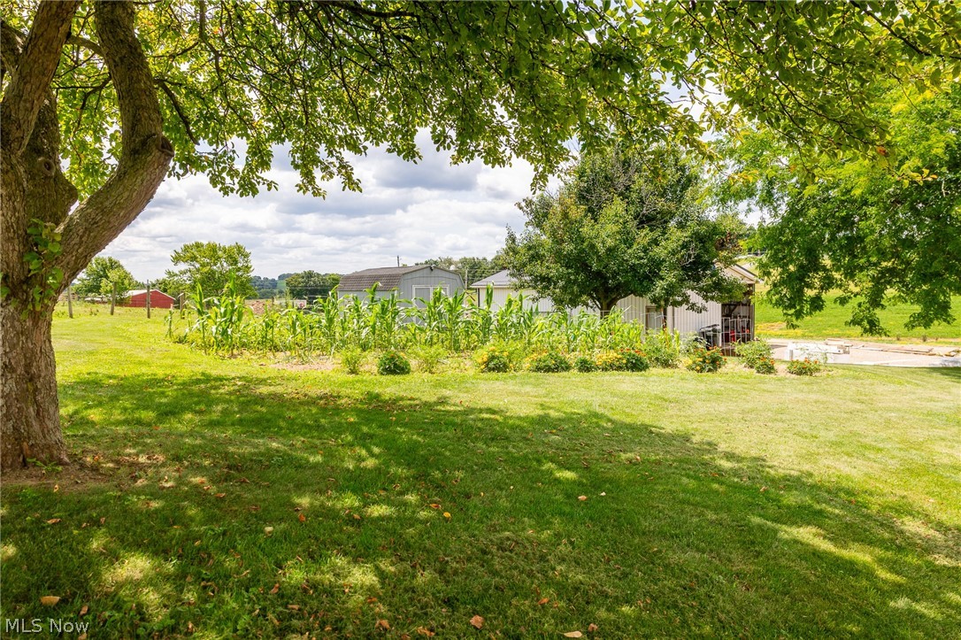 9182 Berry Road Kensington OH 43986