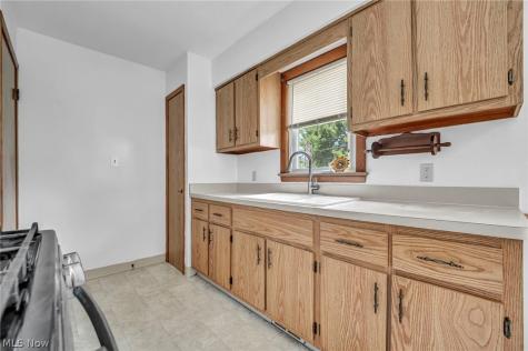 20301 Trebec Avenue Euclid OH 44119