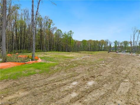 9523 River Birch Run Brecksville OH 44141