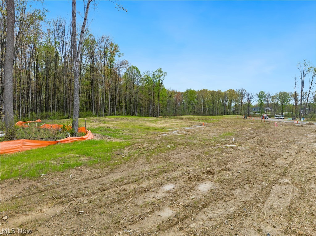 9523 River Birch Run Brecksville OH 44141