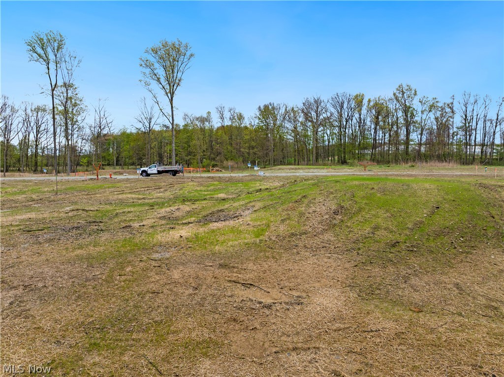 9523 River Birch Run Brecksville OH 44141