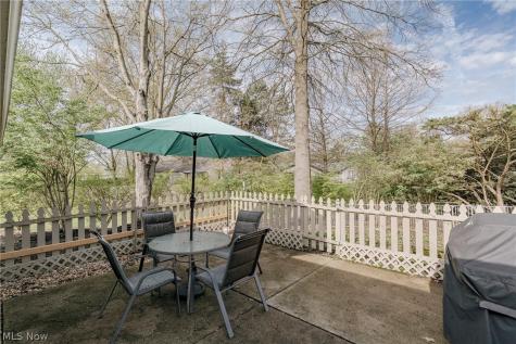 22156 Meadowsouth Court Strongsville OH 44149
