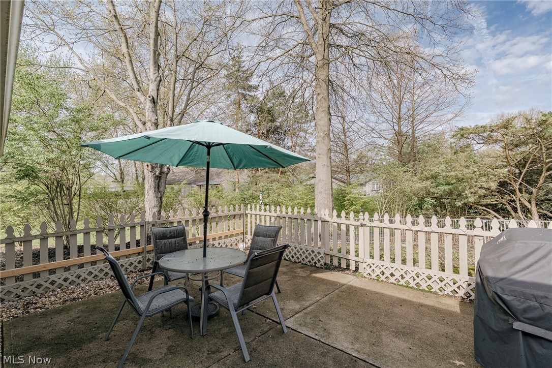 22156 Meadowsouth Court Strongsville OH 44149