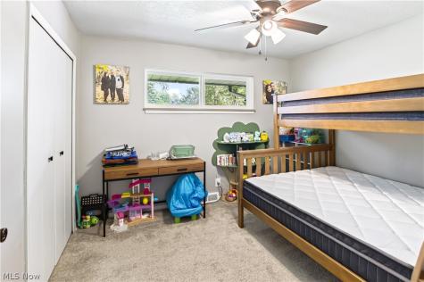 509 Jeannette Drive Richmond Heights OH 44143