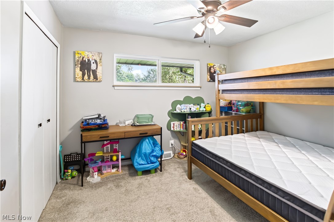 509 Jeannette Drive Richmond Heights OH 44143