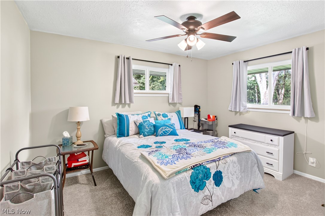 509 Jeannette Drive Richmond Heights OH 44143