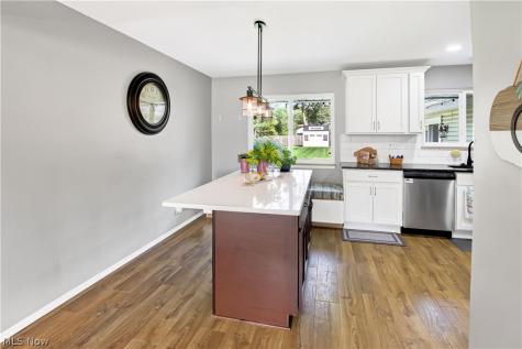 509 Jeannette Drive Richmond Heights OH 44143