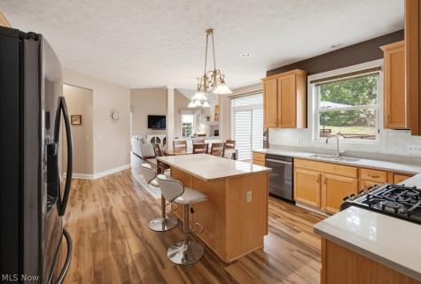 15295 Old Oak Drive Strongsville OH 44149