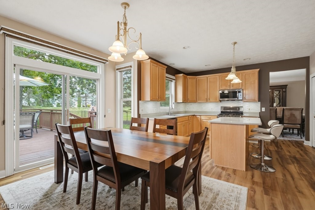 15295 Old Oak Drive Strongsville OH 44149