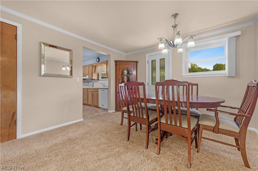 4499 Colorado Avenue Sheffield Village OH 44054