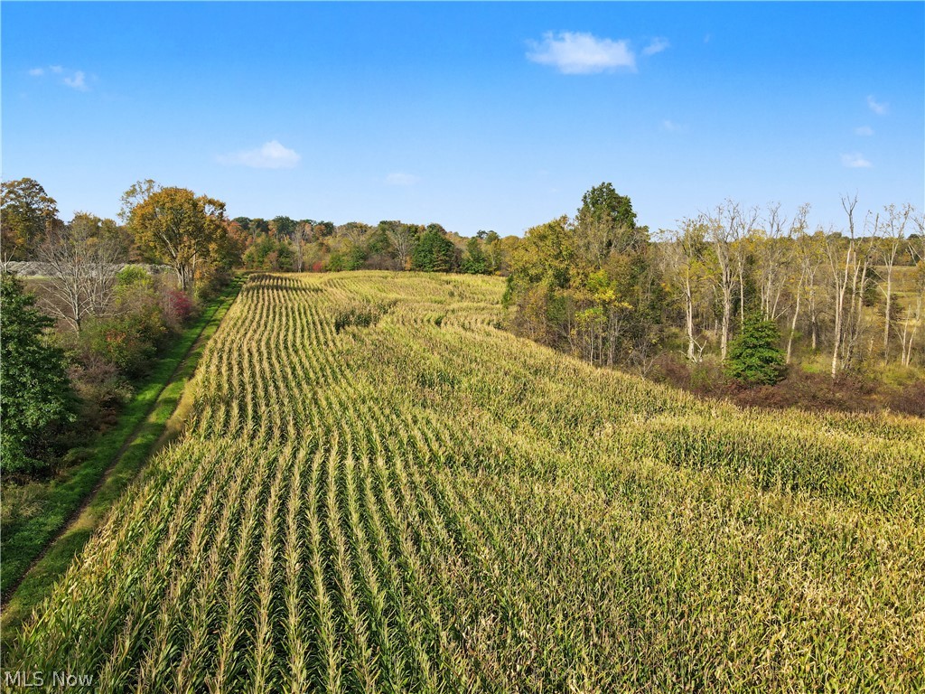 3167 State Route 225 Diamond OH 44412