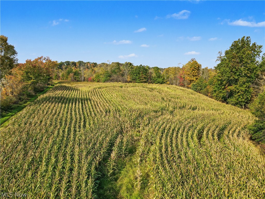 3167 State Route 225 Diamond OH 44412