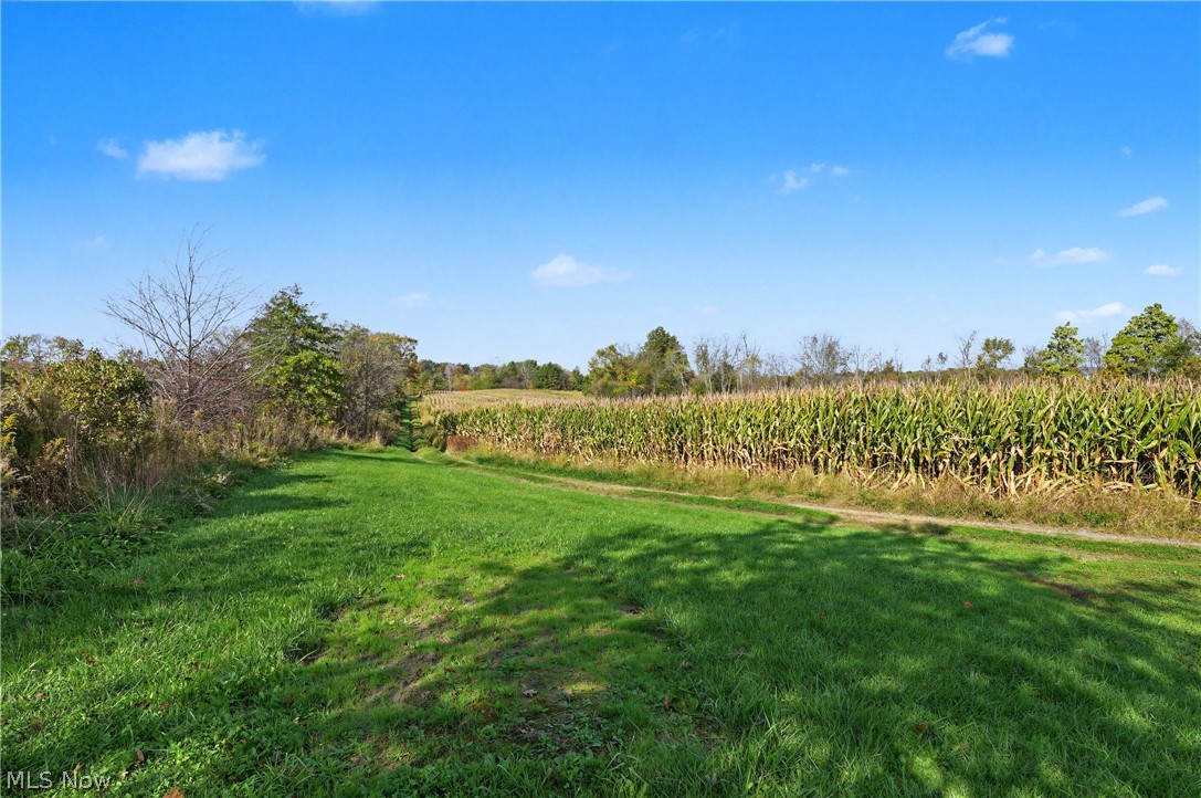 3167 State Route 225 Diamond OH 44412