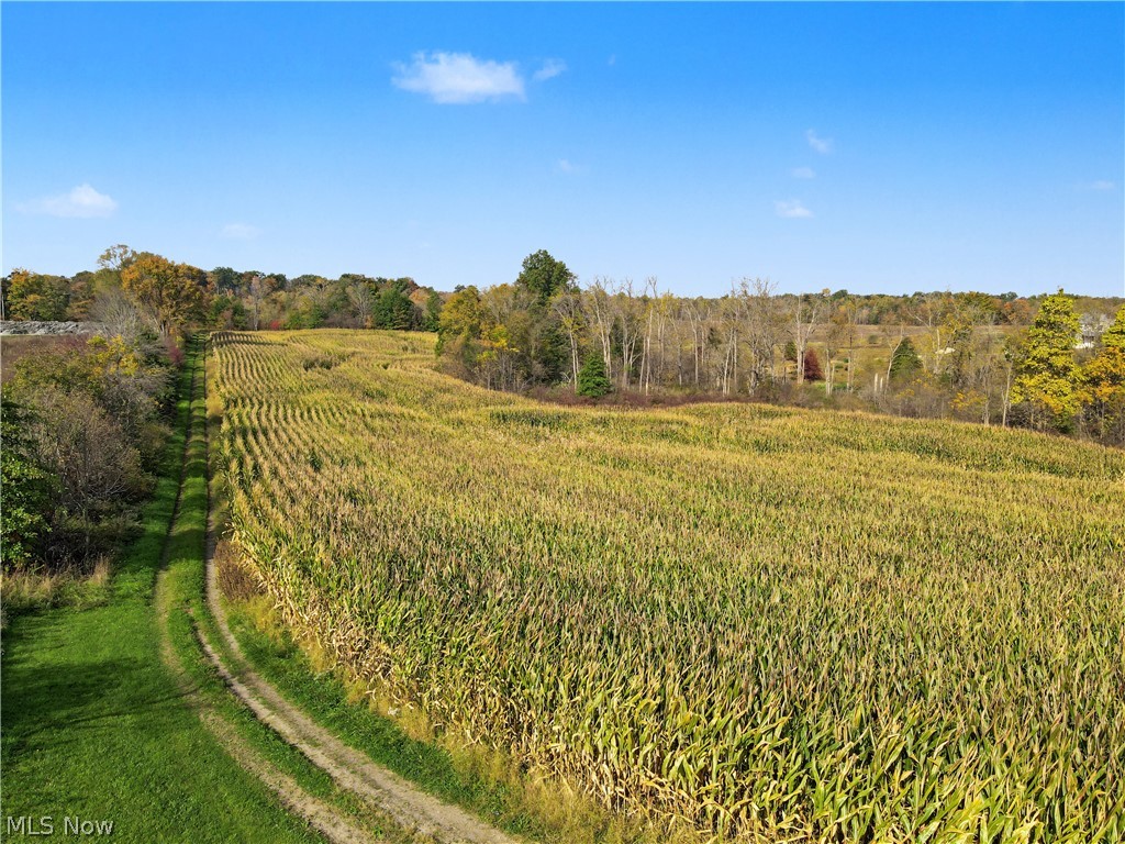 3167 State Route 225 Diamond OH 44412