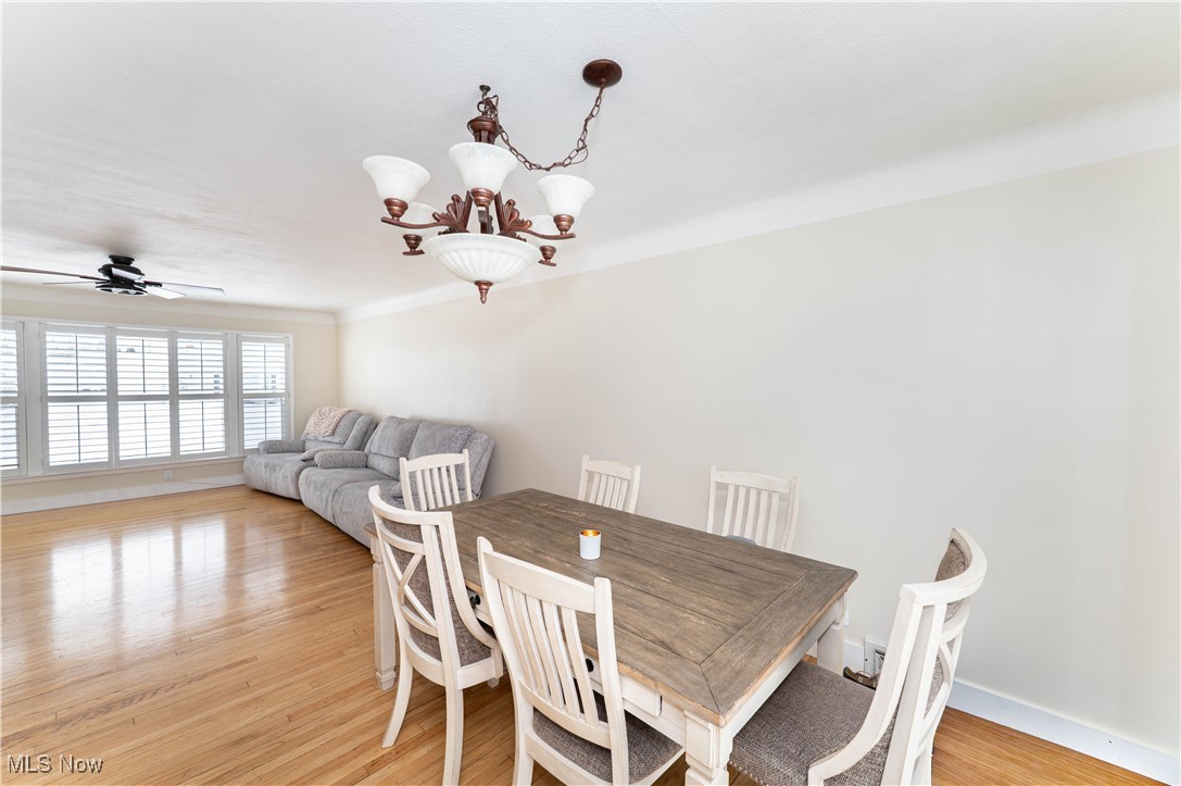 1709 Roselawn Road Mayfield Heights OH 44124