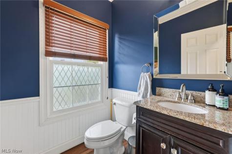 11145 Bain Farm Court Painesville OH 44077