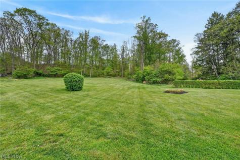 11145 Bain Farm Court Painesville OH 44077