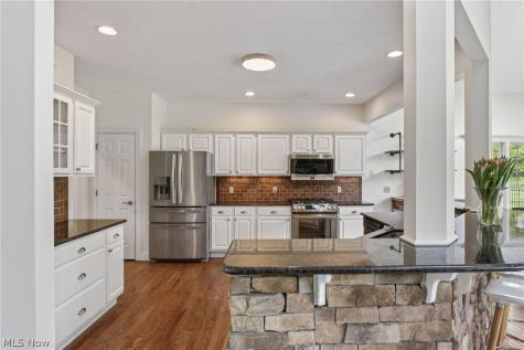 11145 Bain Farm Court Painesville OH 44077
