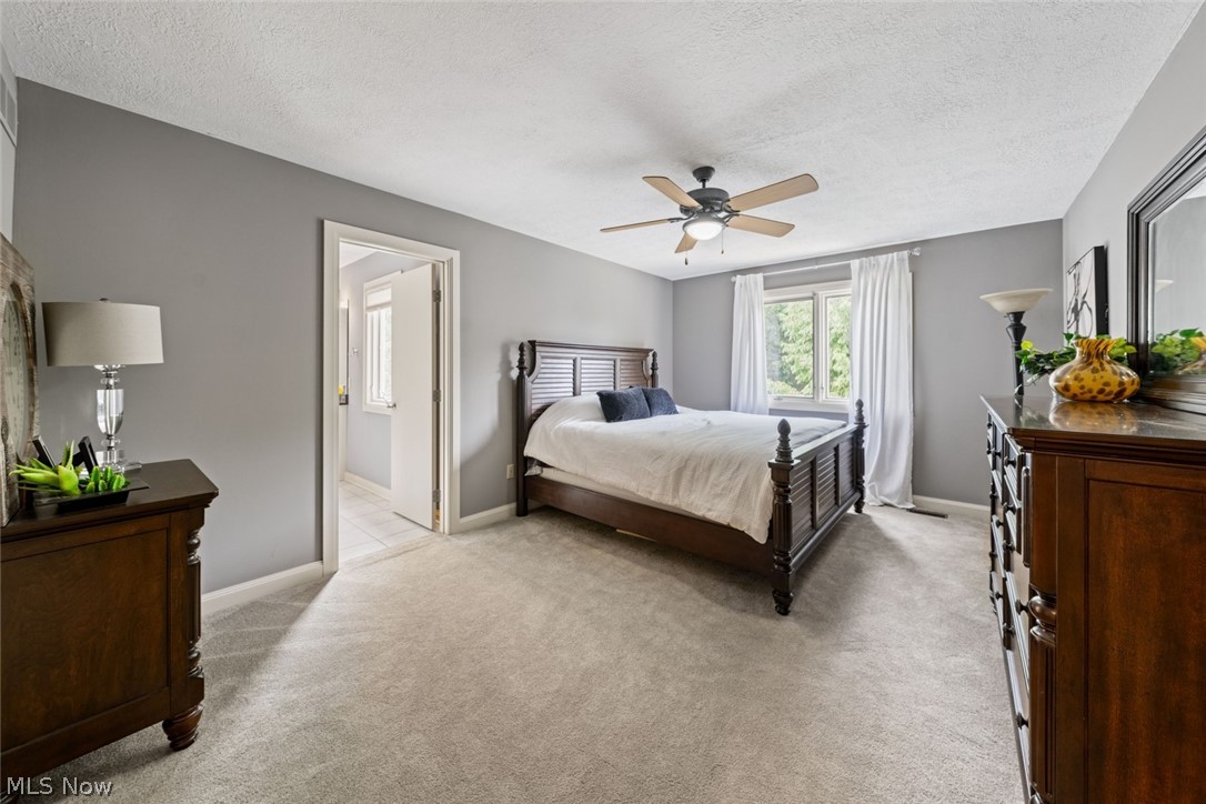 4725 Maidstone Drive Brecksville OH 44141