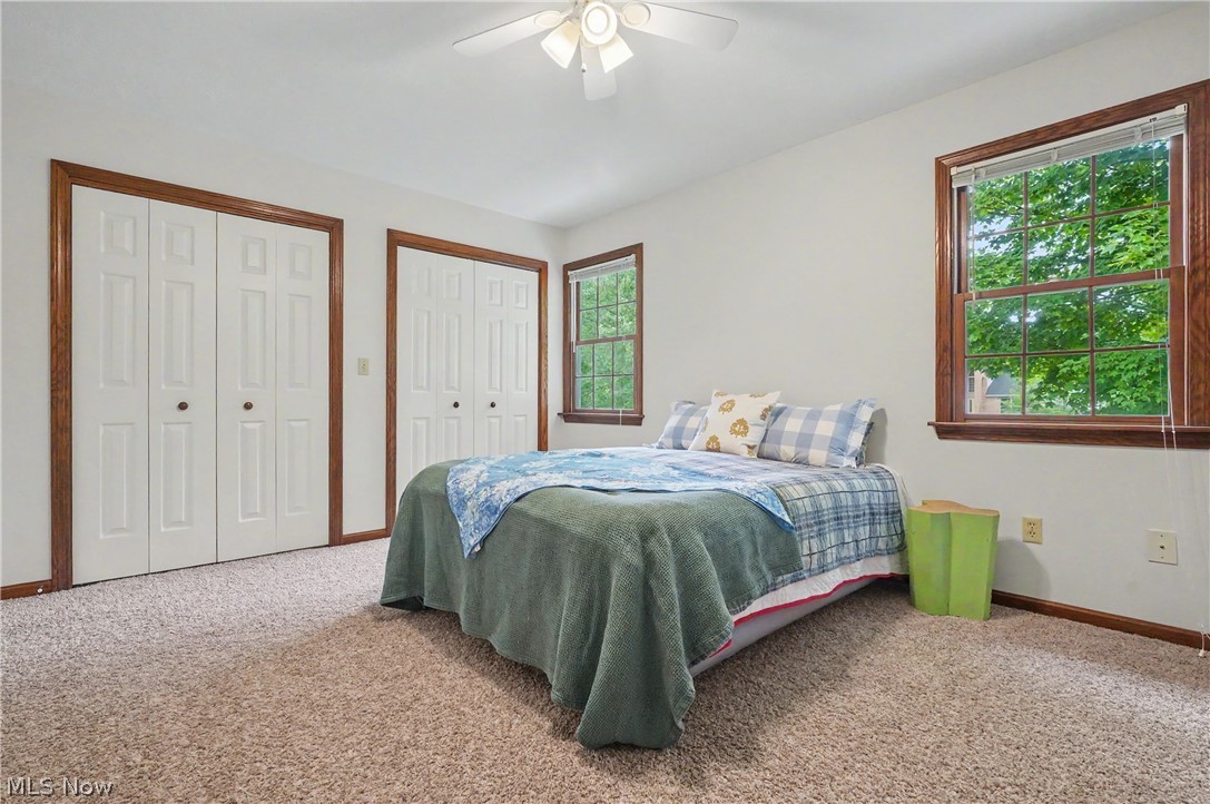 115 Queens Lane Canfield OH 44406