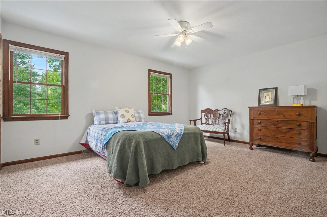 115 Queens Lane Canfield OH 44406