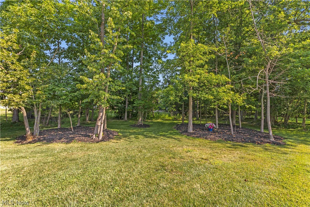 30892 Schwartz Road Westlake OH 44145