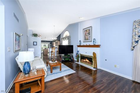 923 Elizabeth Court Cuyahoga Falls OH 44221