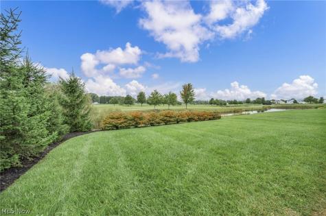 3238 Seven Bridges Road Medina OH 44256