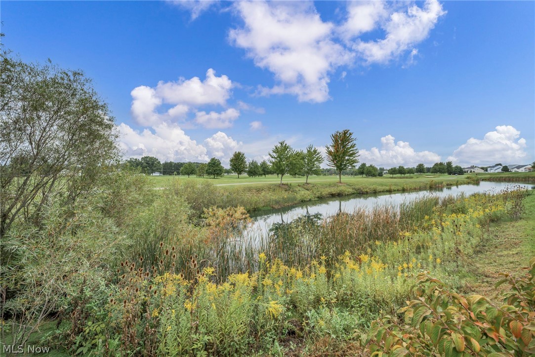 3238 Seven Bridges Road Medina OH 44256