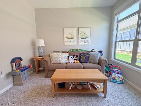 3388 Willow Lane Fairlawn OH 44333