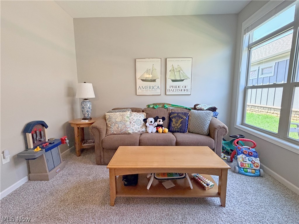 3388 Willow Lane Fairlawn OH 44333