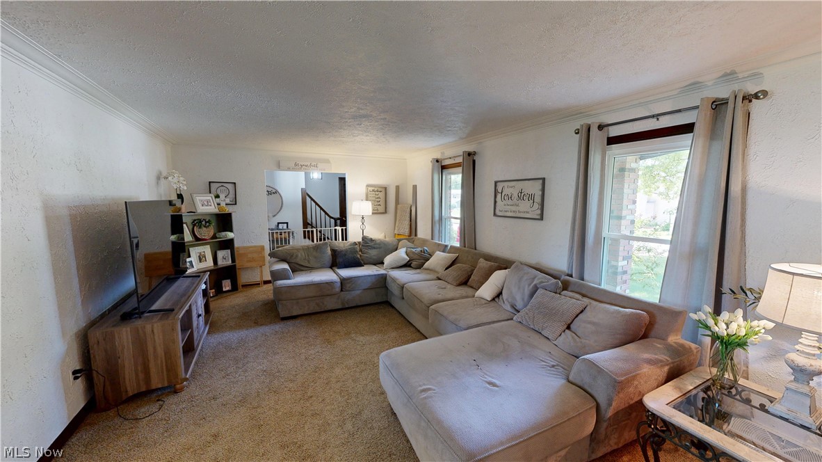 318 Ingram Drive Boardman OH 44512