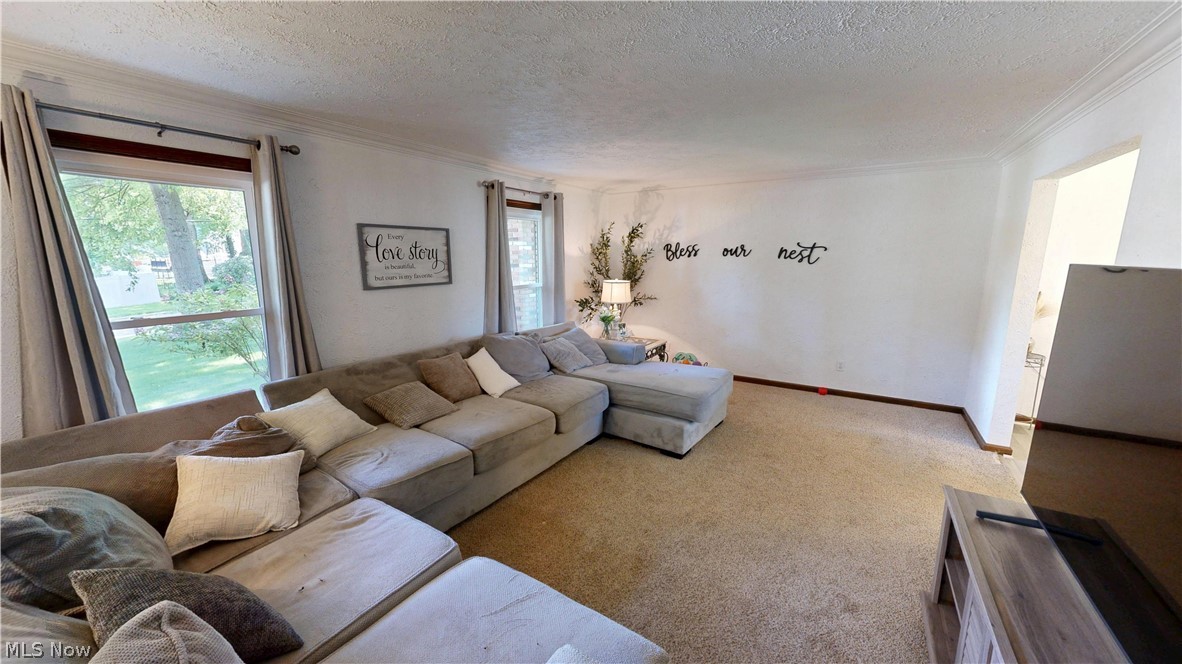 318 Ingram Drive Boardman OH 44512