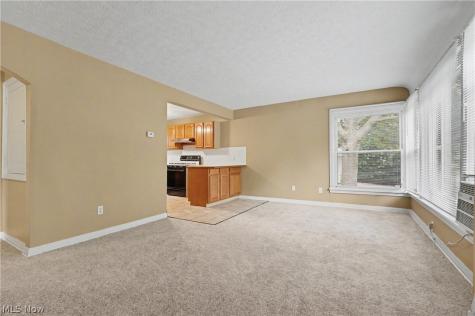 1761 Marks Avenue Akron OH 44305