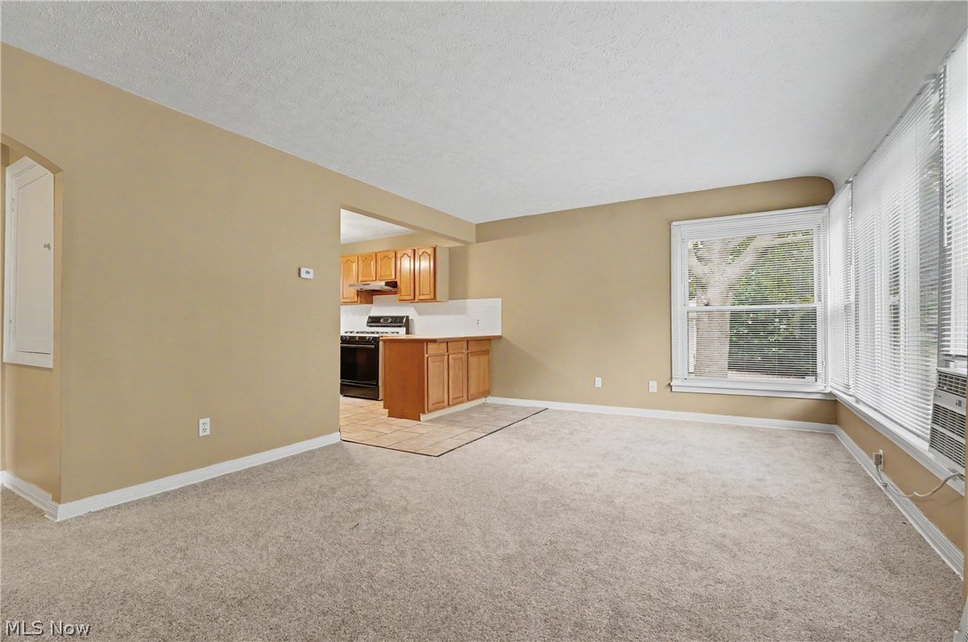 1761 Marks Avenue Akron OH 44305