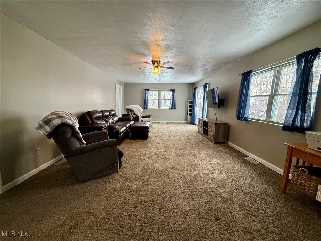 23894 Sandy Creek Road Minerva OH 44657