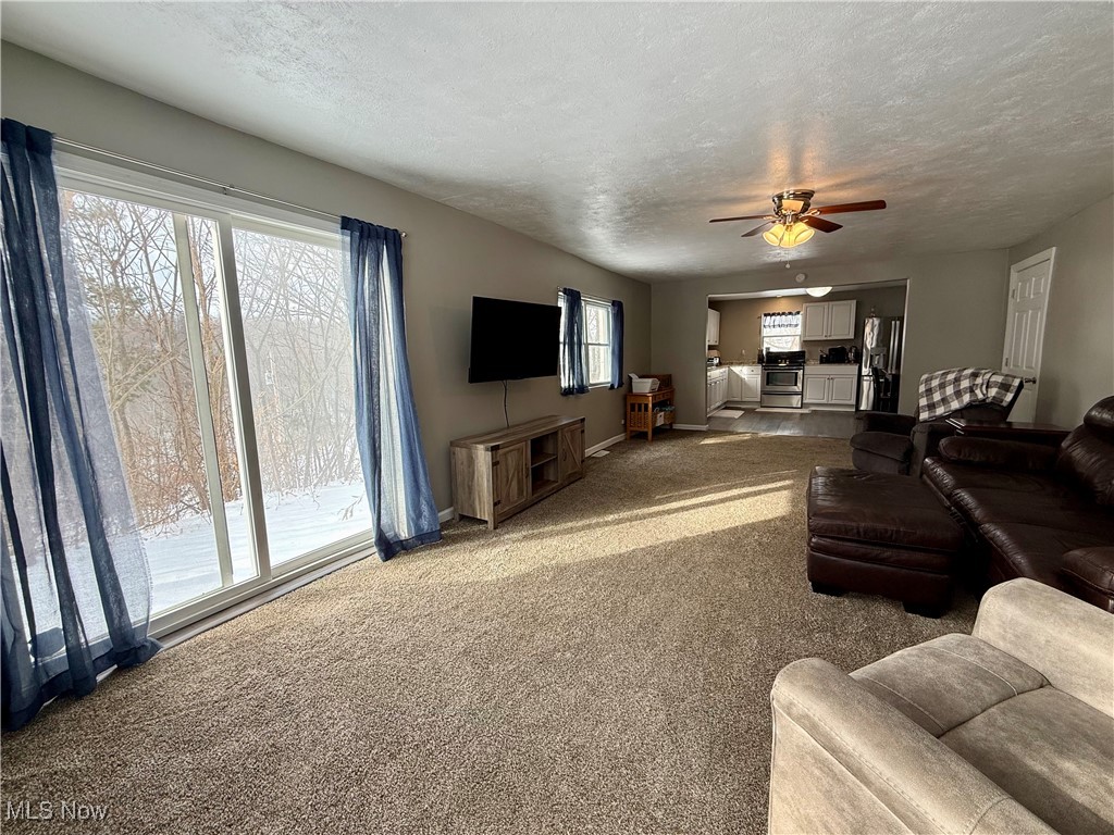 23894 Sandy Creek Road Minerva OH 44657