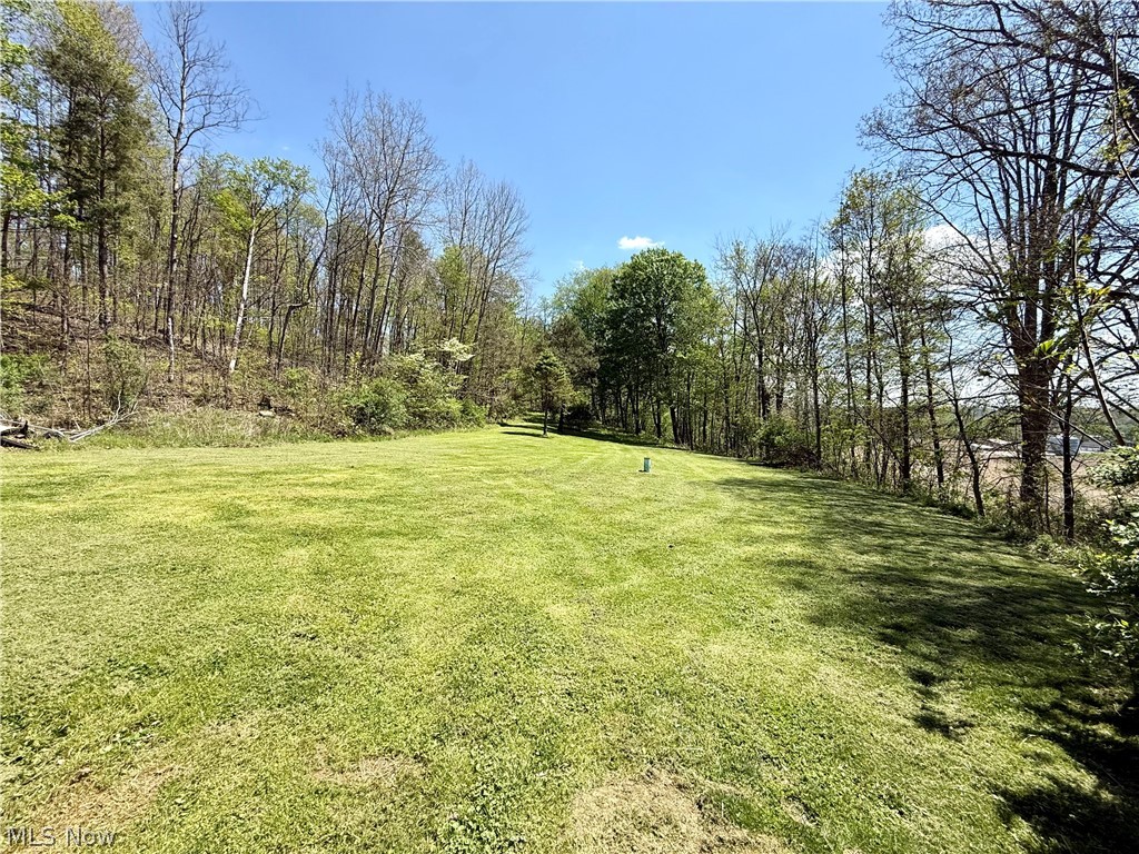 23894 Sandy Creek Road Minerva OH 44657