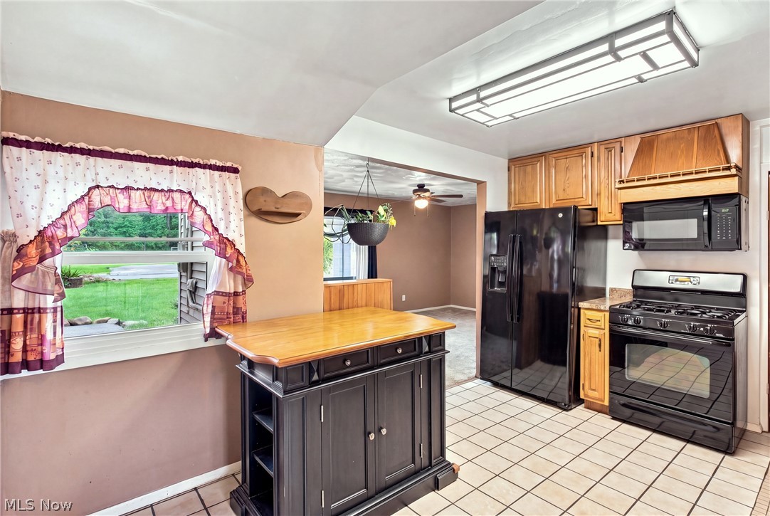 36260 Shaw Drive North Ridgeville OH 44039