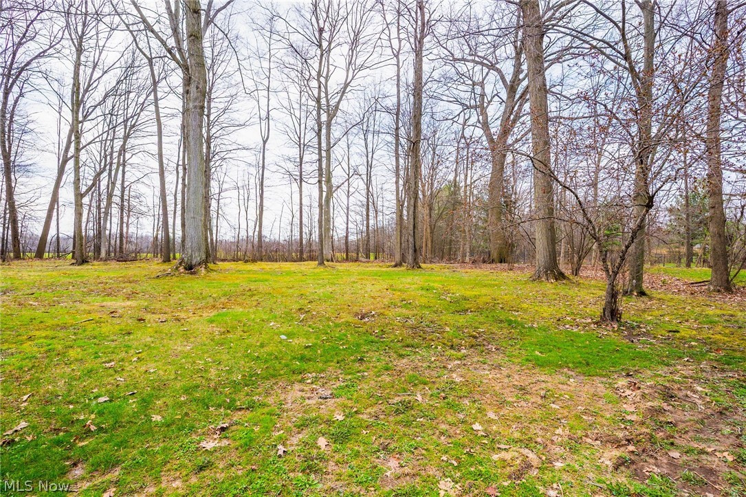1969 Twin Oaks Drive Girard OH 44420