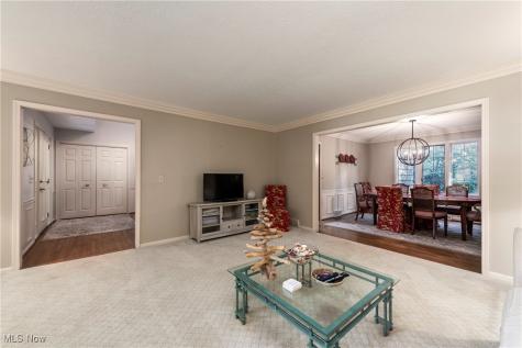 169 Plymouth Drive Bay Village OH 44140