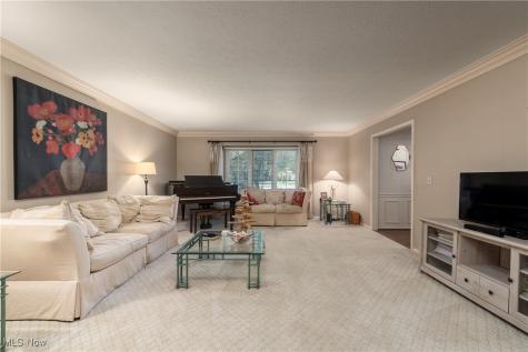 169 Plymouth Drive Bay Village OH 44140