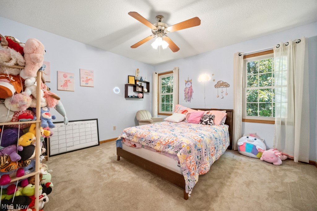 3303 W Smithville Western Road Wooster OH 44691
