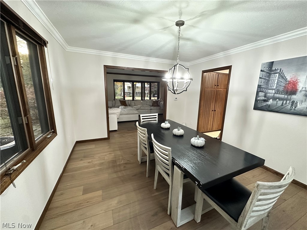 1651 Saunders Drive Wooster OH 44691