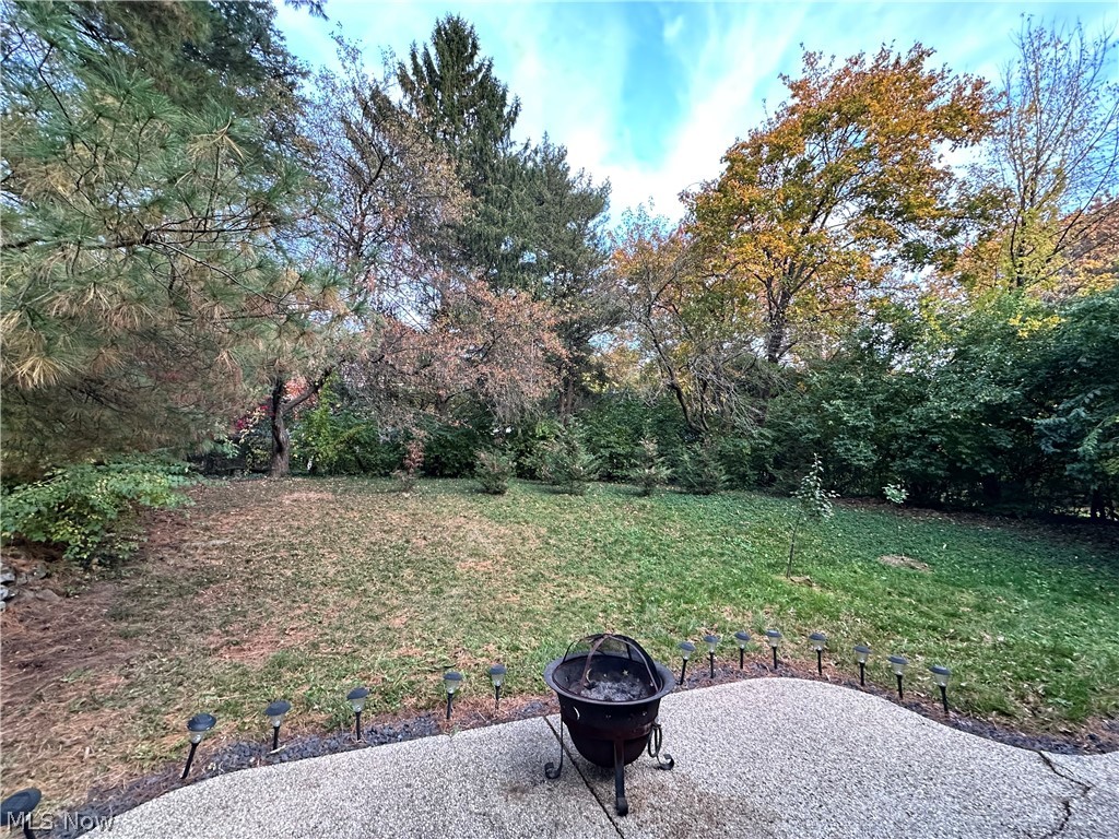 1651 Saunders Drive Wooster OH 44691