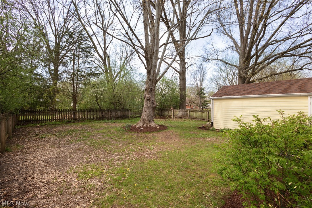118 Hollywood Street Oberlin OH 44074