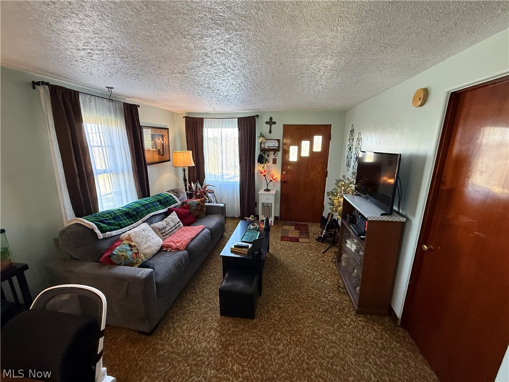 115 Grove Street Wintersville OH 43953