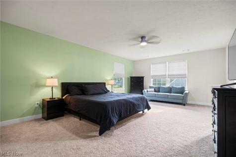 1035 Ashford Court Columbia Station OH 44028