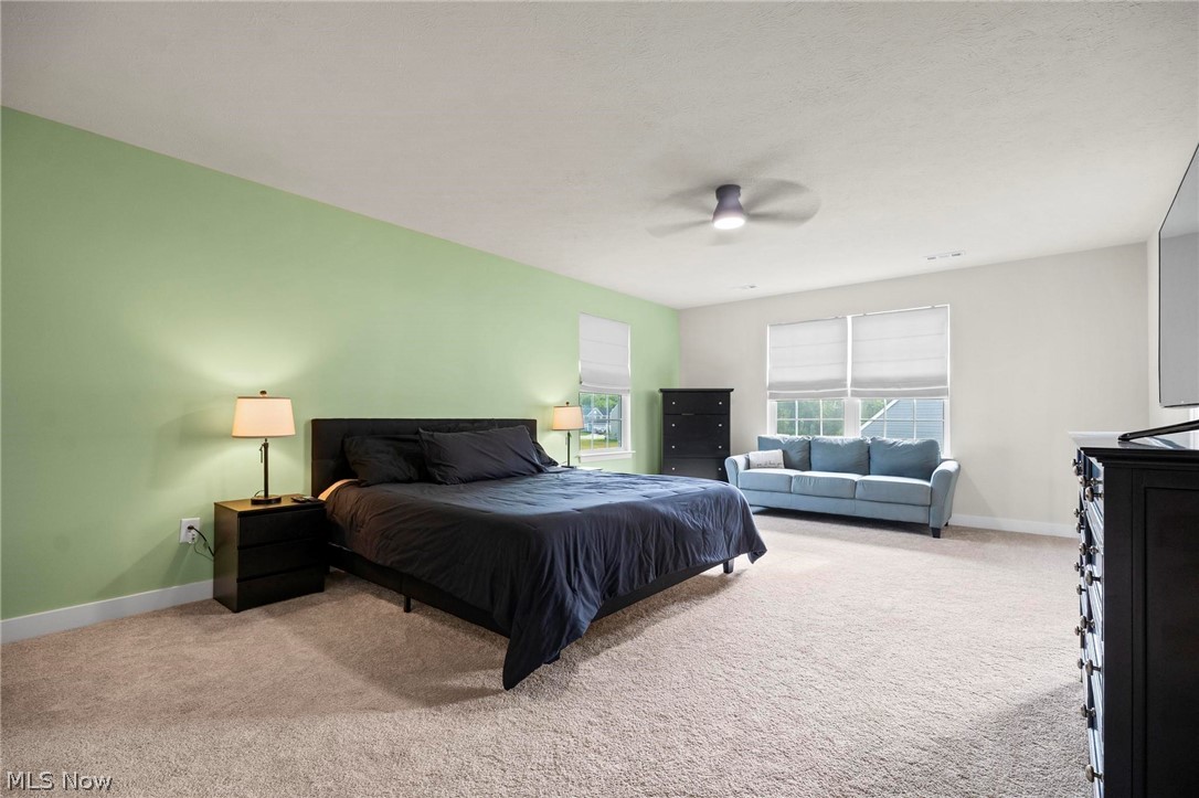 1035 Ashford Court Columbia Station OH 44028